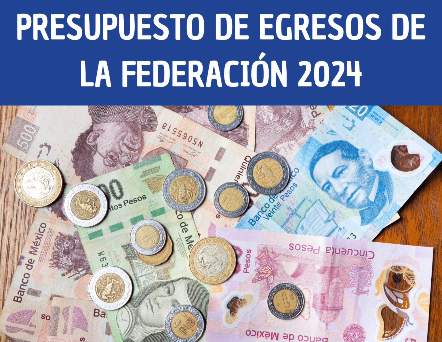 Presupuesto De Egresos De La Federación 2024: ¿Qué Es? - GENERAMÁS