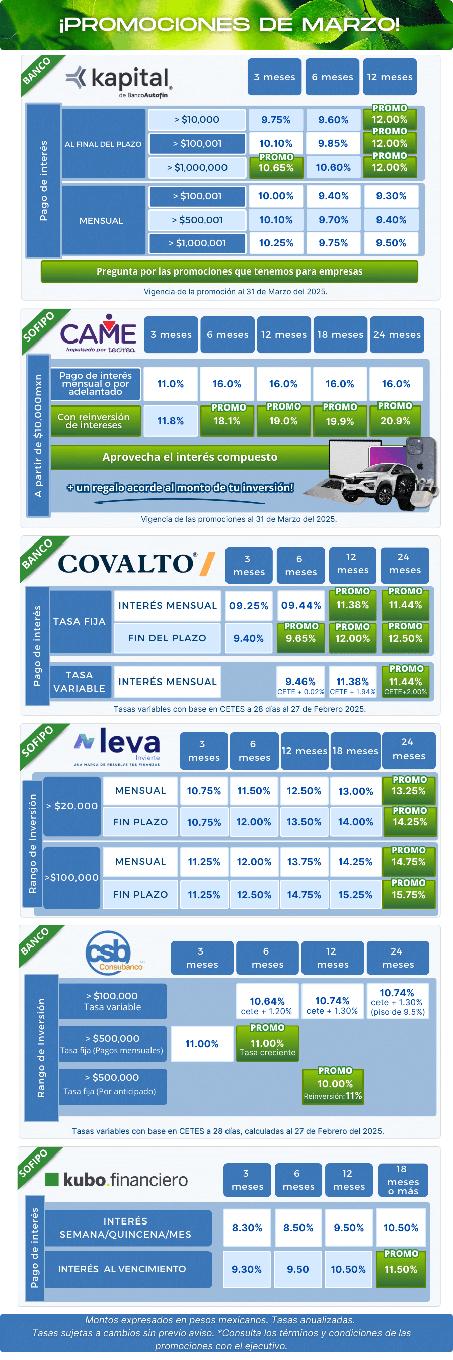 Tasas, plazos e instituciones financieras